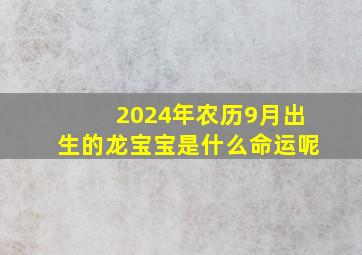 2024年农历9月出生的龙宝宝是什么命运呢,2014年农历九月二十四出生的宝宝