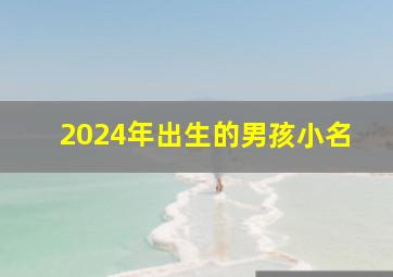 2024年出生的男孩小名,2024年出生的宝宝