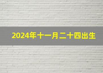 2024年十一月二十四出生