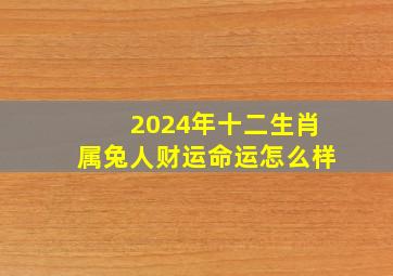 2024年十二生肖属兔人财运命运怎么样,2024年兔人运势运程