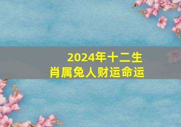 2024年十二生肖属兔人财运命运,2024年十二生肖属兔人财运命运详解