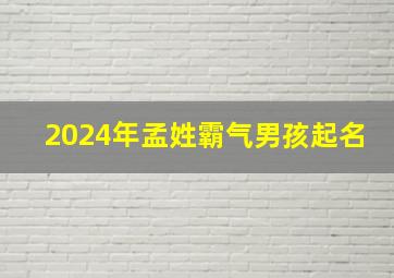 2024年孟姓霸气男孩起名,孟姓男孩起名帅气响亮