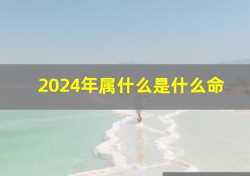 2024年属什么是什么命,请问2024年属的是什么命