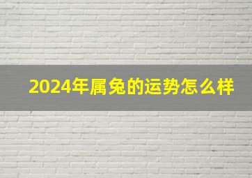 2024年属兔的运势怎么样,2024年属兔的运势怎么样男