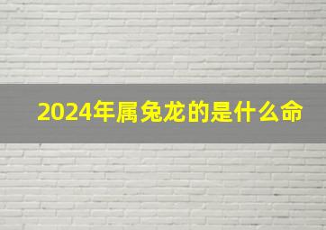 2024年属兔龙的是什么命,2024年的属兔人是什么命