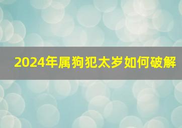 2024年属狗犯太岁如何破解,2024年属狗犯太岁的最佳解决方法