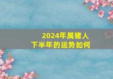 2024年属猪人下半年的运势如何,2024年属猪人的全年每月运势