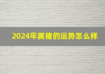 2024年属猪的运势怎么样,2024年属猪的运势怎么样女