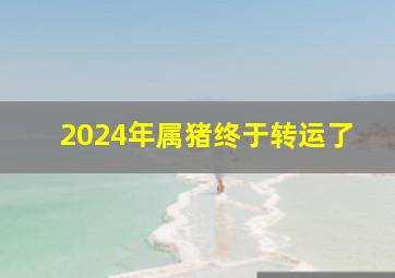 2024年属猪终于转运了