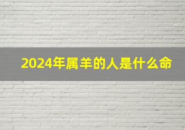 2024年属羊的人是什么命,2024年属羊人运势