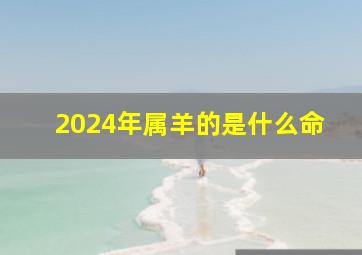 2024年属羊的是什么命