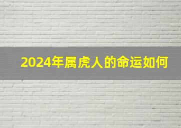 2024年属虎人的命运如何