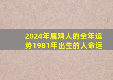 2024年属鸡人的全年运势1981年出生的人命运,1981年出生属鸡人2023年运势及运程