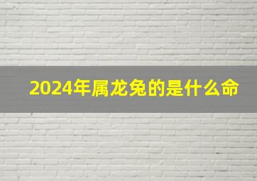 2024年属龙兔的是什么命,2024年属龙人是什么命