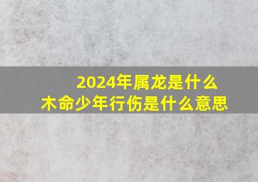 2024年属龙是什么木命少年行伤是什么意思,2024年龙命中缺什么