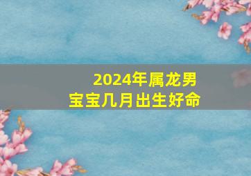 2024年属龙男宝宝几月出生好命