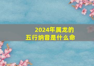 2024年属龙的五行纳音是什么命,2024年龙年五行是什么