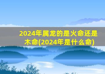 2024年属龙的是火命还是木命(2024年是什么命),2024年生肖龙是什么命