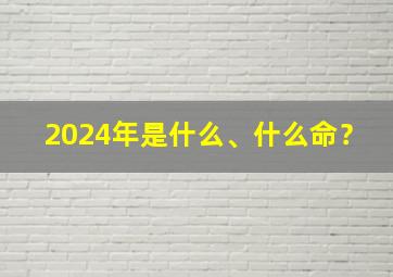 2024年是什么、什么命？,2024年是什么命运