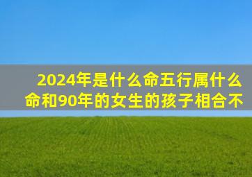 2024年是什么命五行属什么命和90年的女生的孩子相合不,2024年什么命 五行