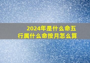 2024年是什么命五行属什么命按月怎么算,2024年什么命 五行