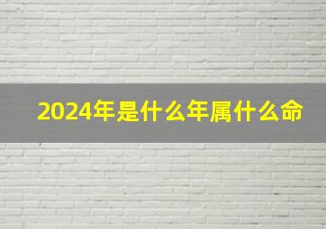 2024年是什么年属什么命,2024年是什么年