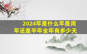 2024年是什么年是闰年还是平年全年有多少天,2024年是什么年闰年吗