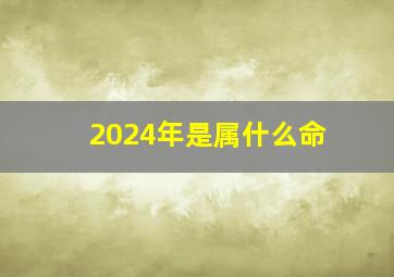 2024年是属什么命,2024年是属什么命的