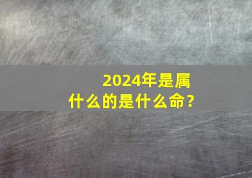 2024年是属什么的是什么命？,2024年是属什么的是什么命缺什么