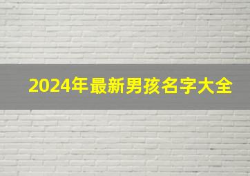 2024年最新男孩名字大全