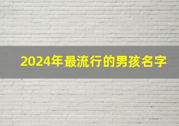 2024年最流行的男孩名字