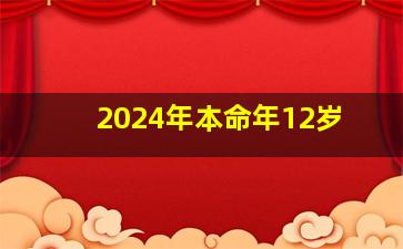 2024年本命年12岁,2024年本命年生孩子