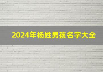 2024年杨姓男孩名字大全,2024年出生的杨姓宝宝名字