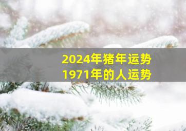 2024年猪年运势1971年的人运势,生肖猪2024年运势