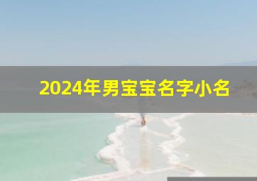 2024年男宝宝名字小名,2024年宝宝取名