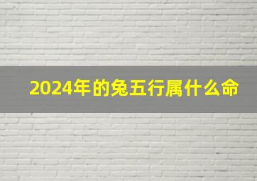 2024年的兔五行属什么命,2024年的兔五行属什么命运