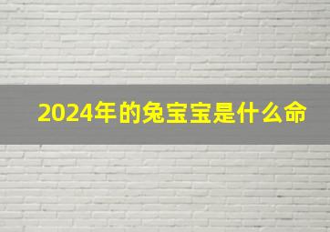 2024年的兔宝宝是什么命,2024年生兔宝宝好不好