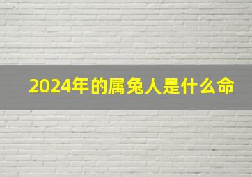 2024年的属兔人是什么命