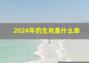 2024年的生肖是什么命,2024年属什么的生肖