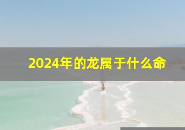 2024年的龙属于什么命,2024年龙是什么龙