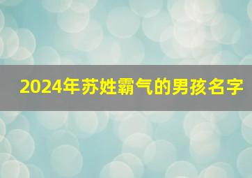 2024年苏姓霸气的男孩名字