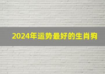 2024年运势最好的生肖狗,2024年运势最好的生肖狗男