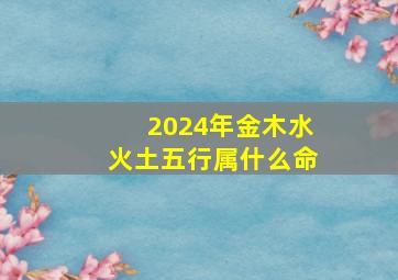 2024年金木水火土五行属什么命,2024金木水火土五行属哪一个