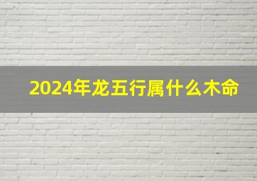 2024年龙五行属什么木命,2024年龙年五行属什么命