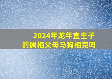 2024年龙年宜生子的属相父母马狗相克吗