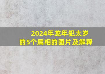 2024年龙年犯太岁的5个属相的图片及解释,2024年龙年犯太岁的5个属相的图片及解释