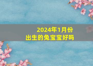 2024年1月份出生的兔宝宝好吗,2024年生兔宝宝好不好