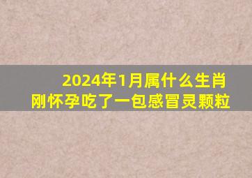 2024年1月属什么生肖刚怀孕吃了一包感冒灵颗粒,