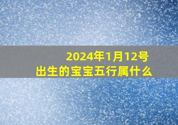 2024年1月12号出生的宝宝五行属什么,2024年1月12号出生的宝宝五行属什么命