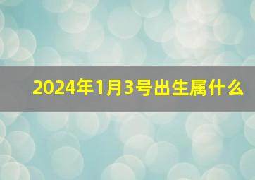 2024年1月3号出生属什么